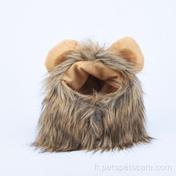 Chat Chapeau Habillage Costume Adorables Lion Crinière